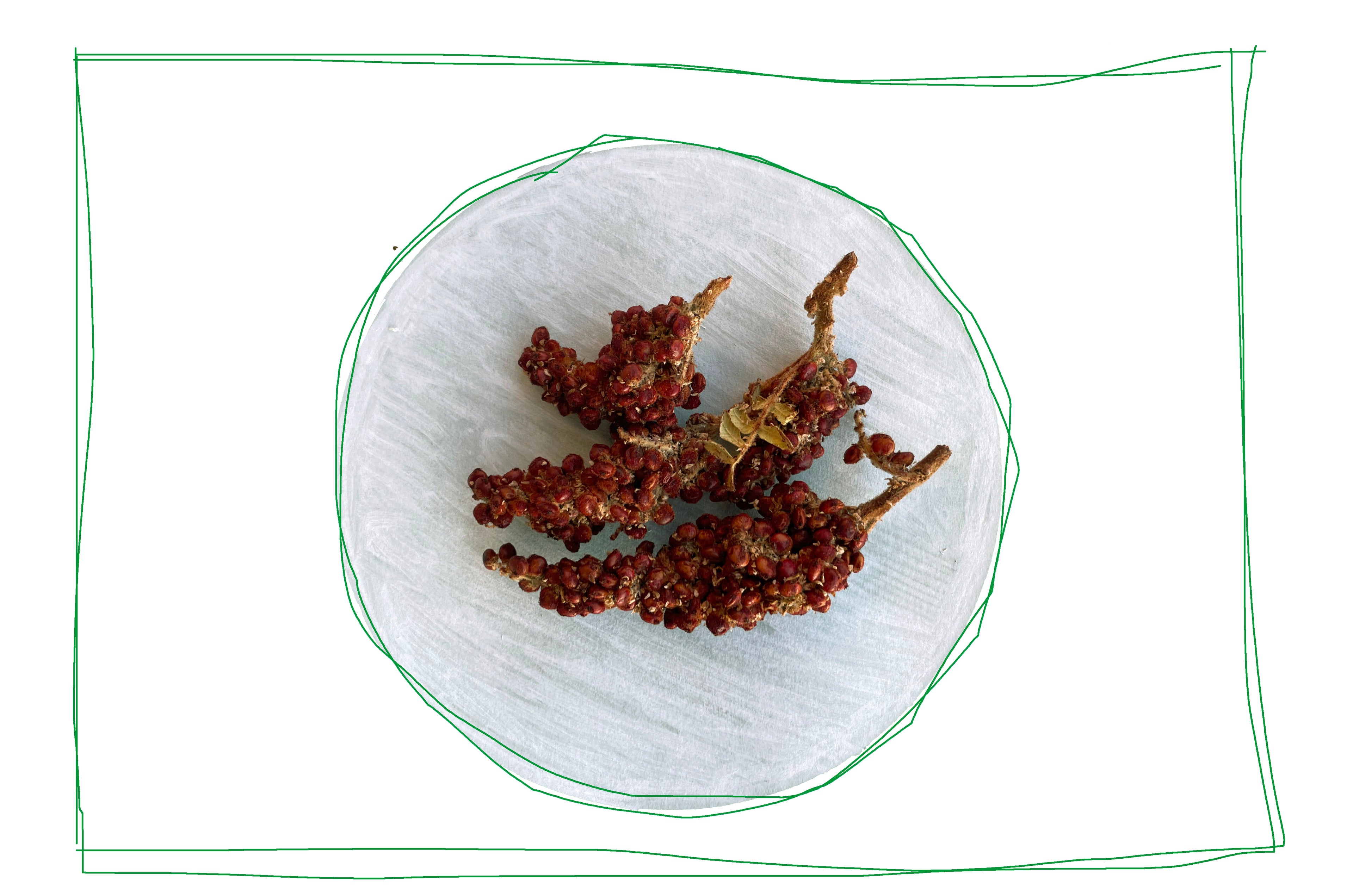 Wild Whole Sumac Berries